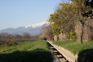 Travaux canal des Albères